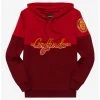 Harry Potter Gryffindor Crest Panel Hoodie - BoxLunch Exclusive -BoxLunch Shop 18809305 hi