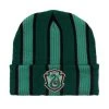 Harry Potter Slytherin Striped Cuff Beanie - BoxLunch Exclusive